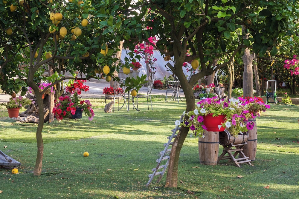 Giardino di Nonno Lucio