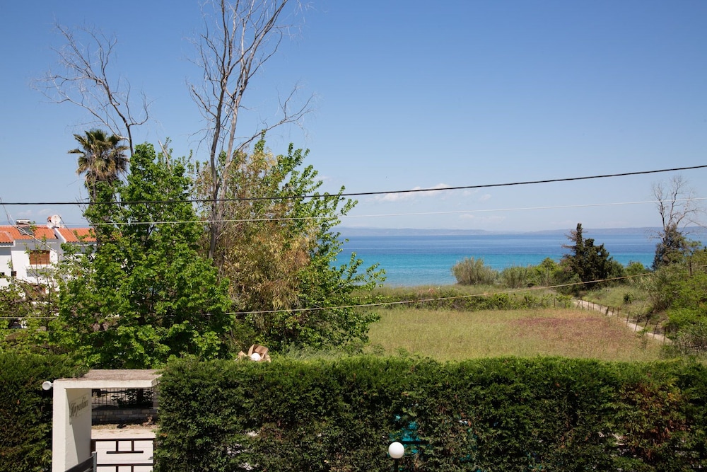 Photo 10