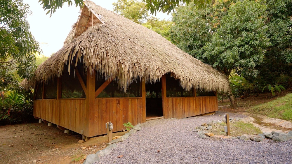 Upachaya
