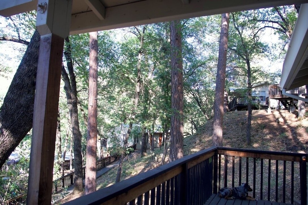 Yosemite Bug Rustic Mountain Resort