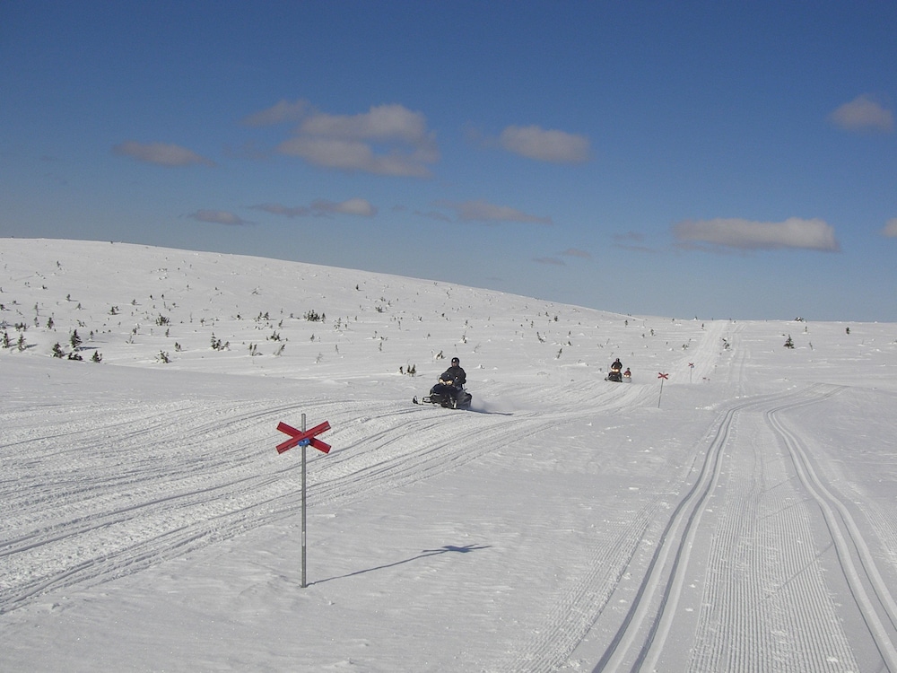 Photo 42