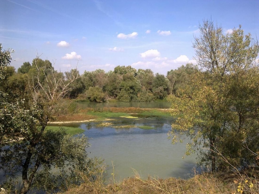 Rural House Near Zaragoza