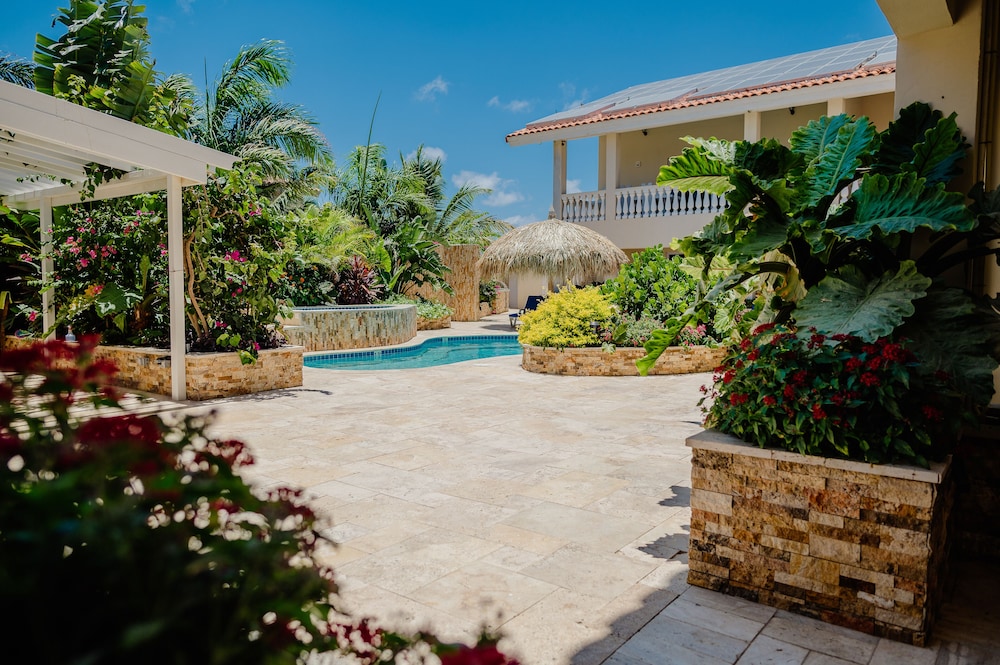 Modern 1-bedroom-apartment 2 km From Eagle Beach