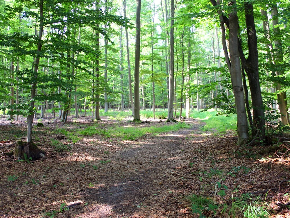 Wohnung im Teutoburger Wald