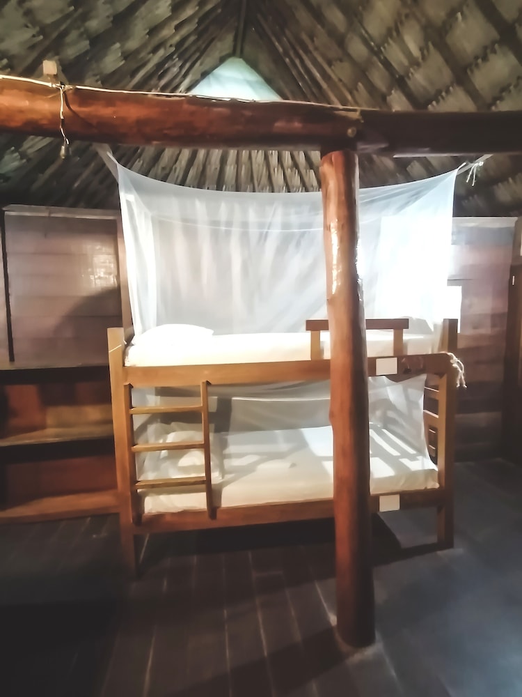 Prima Luna Palomino - Property Image 34