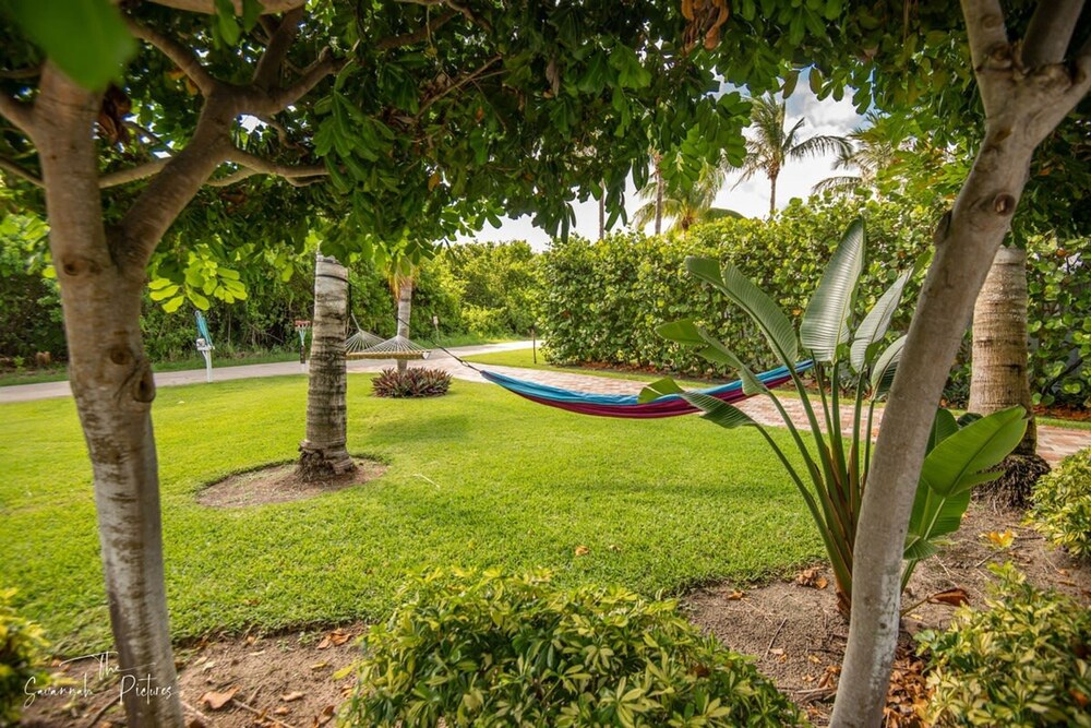 Secluded Beachfront Vibes Surf Pet Friendly