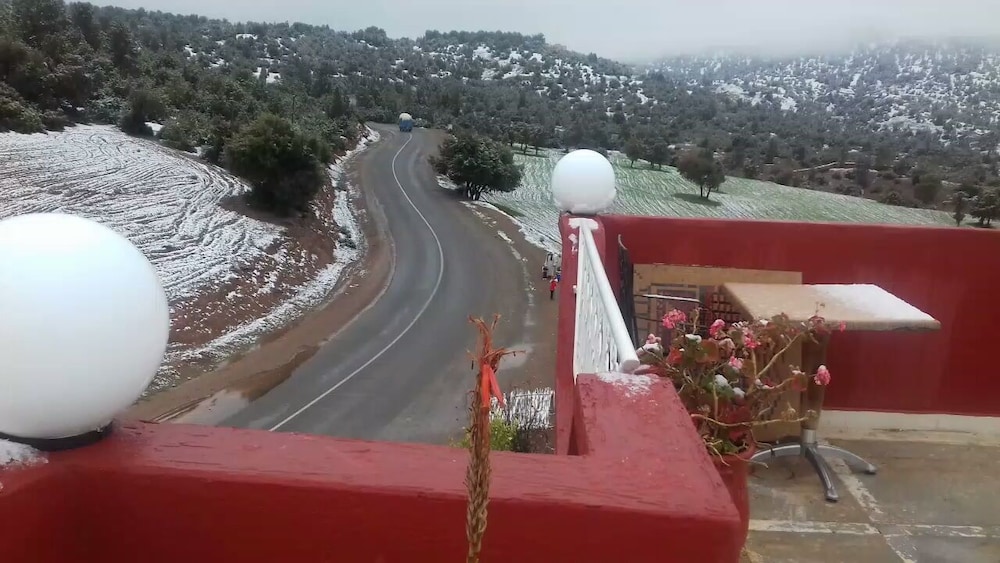 Mohatirste