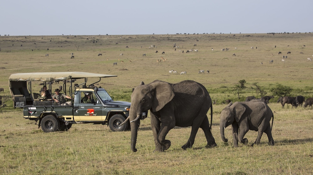 Elewana Elephant Pepper Camp