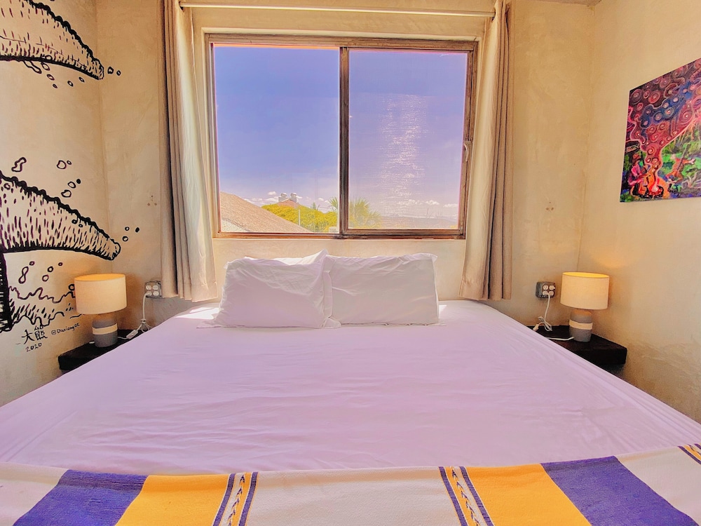 Perro Surfero Hotel Boutique - Todos Santos, BCS