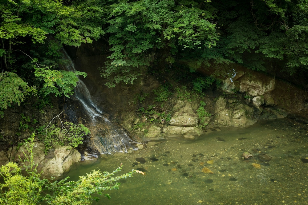 1000 Years of Tradition - Akiu Onsen Sakan