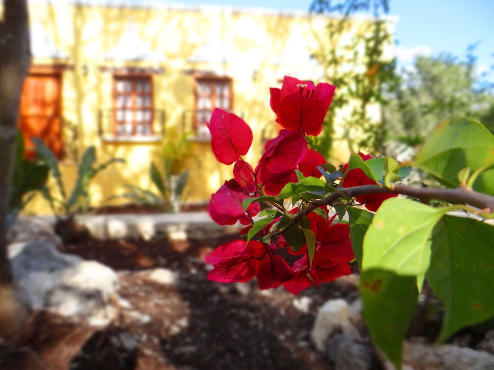Hacienda Cobá Hotel