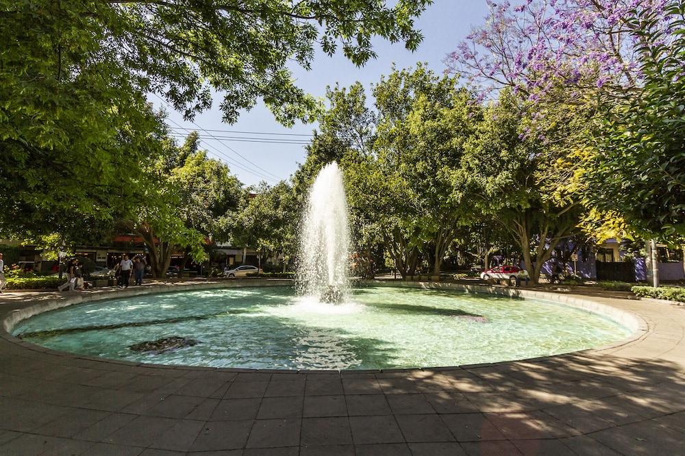 Condesa Boutique PH by LiveMexicoCity photo 3