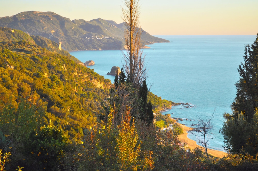 Photo 40