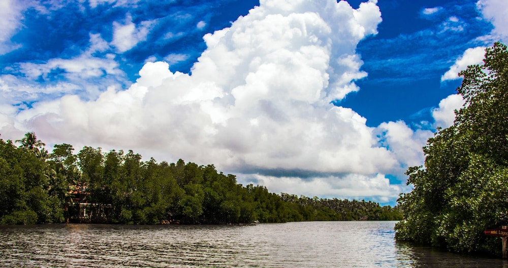 Riverbank Bentota