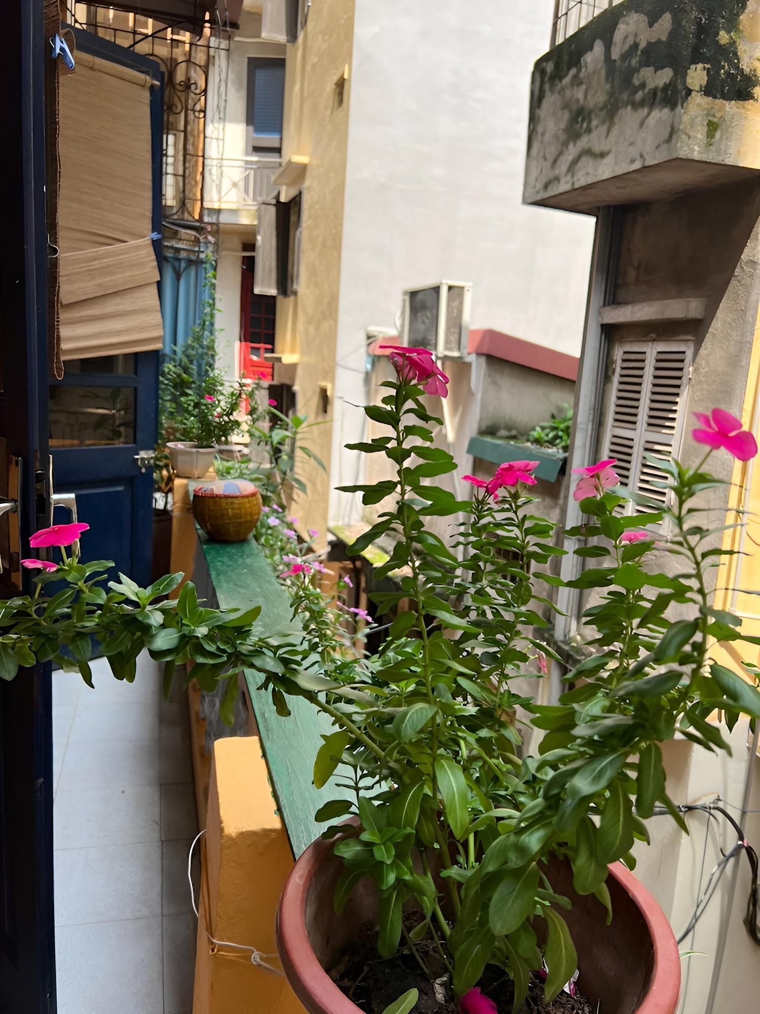 Homestay 8 Tour - Center of Hanoi