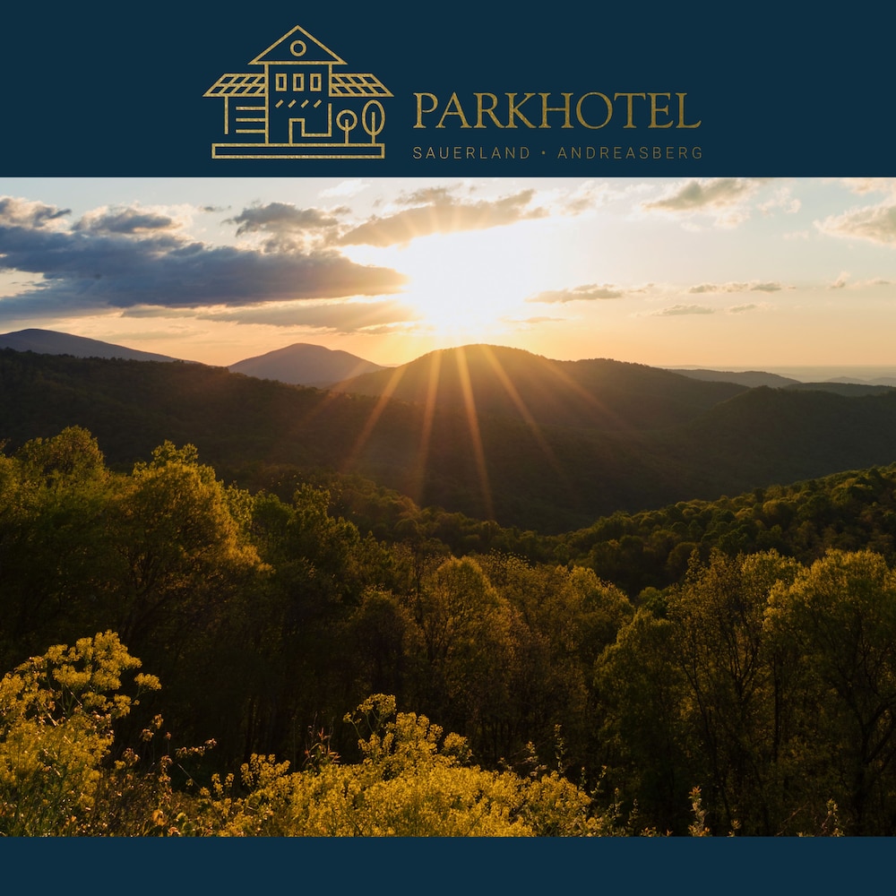 Parkhotel Andreasberg - Property Image 50
