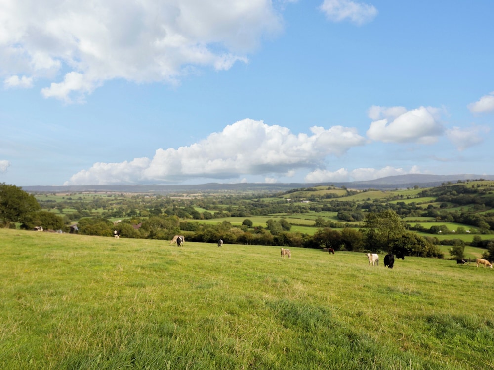 Grove Farm