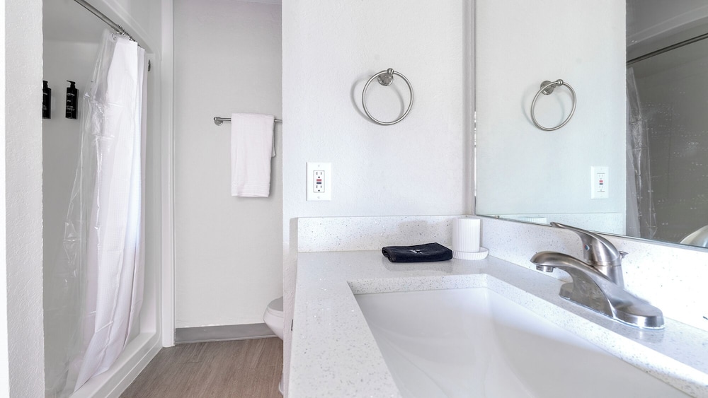Landing Apartments Downtown Port Charlotte