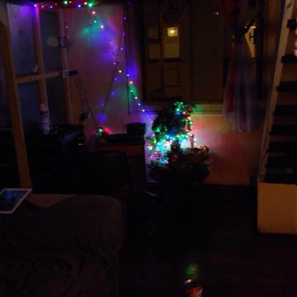 Photo 11