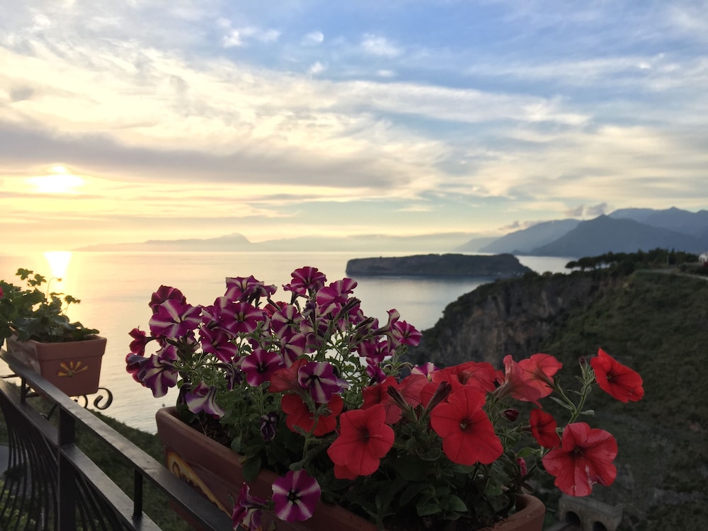 La casa di Ivana