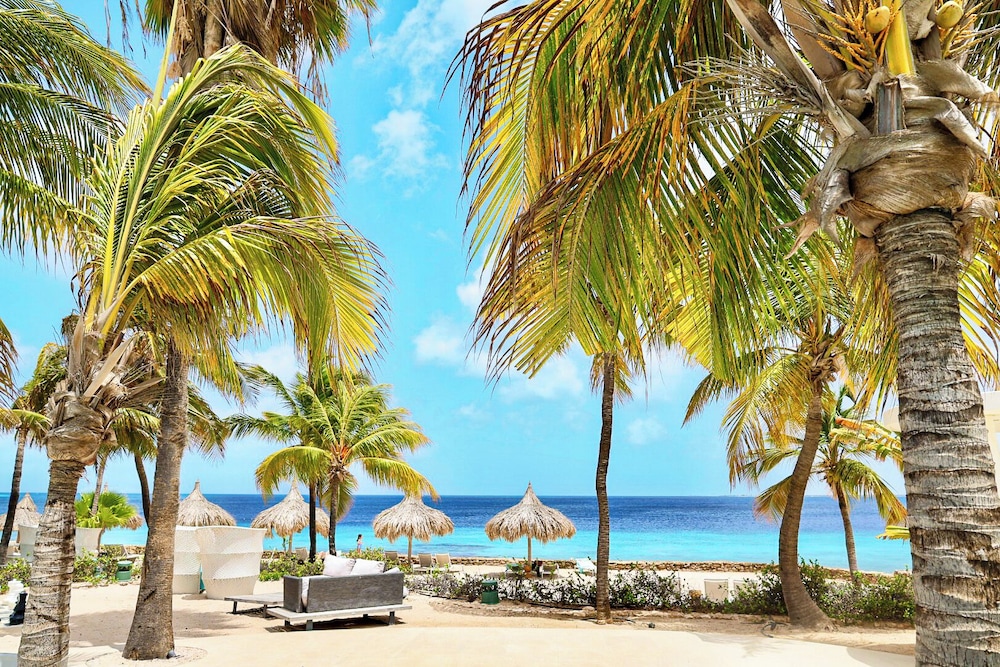 Van der Valk Plaza Beach & Dive Resort Bonaire - All Inclusive - Photo 33