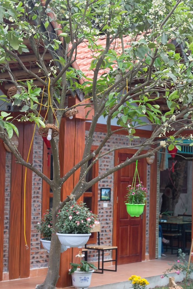 Tam Coc Moonlight Bungalow
