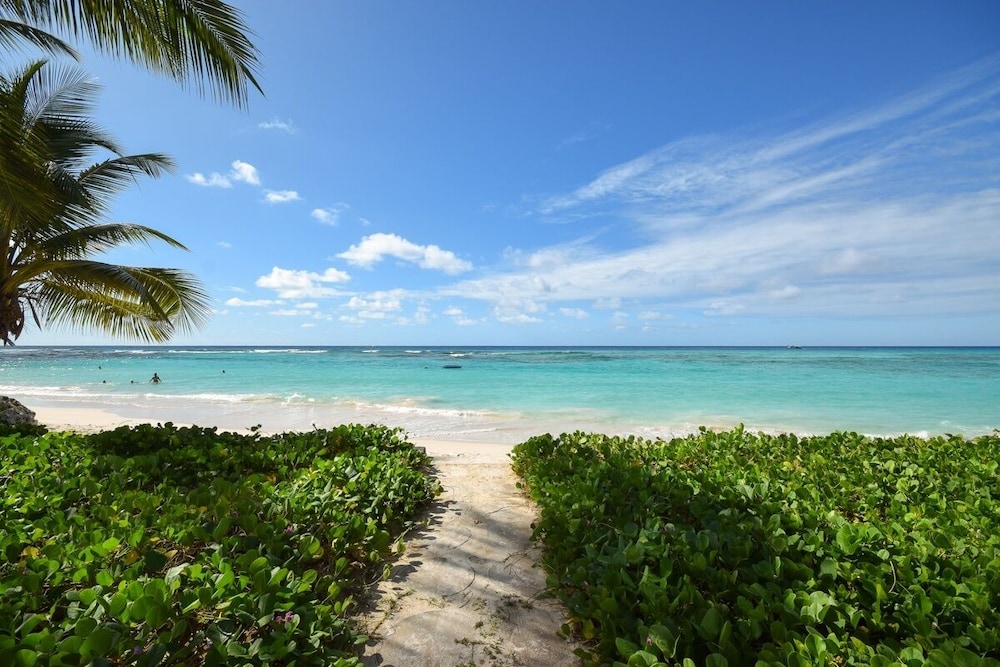 Beachfront Cosy And Romantic Condo - Nautilus 1 Bedroom Apts by Bluescape
