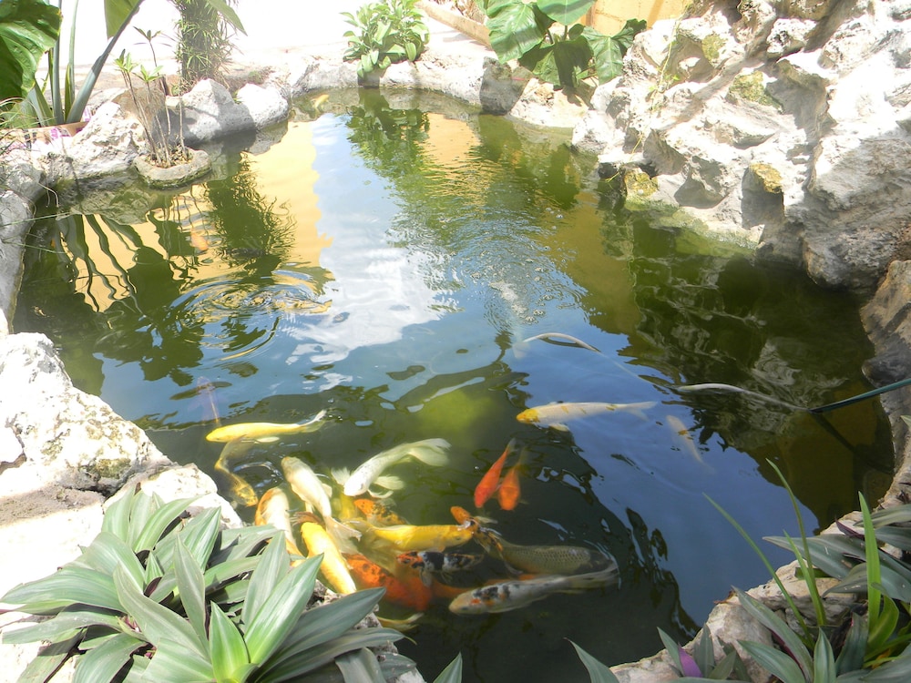 Hacienda Cobá Hotel
