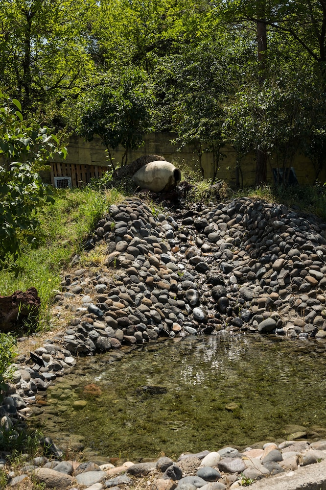 Organic House & Aquapark