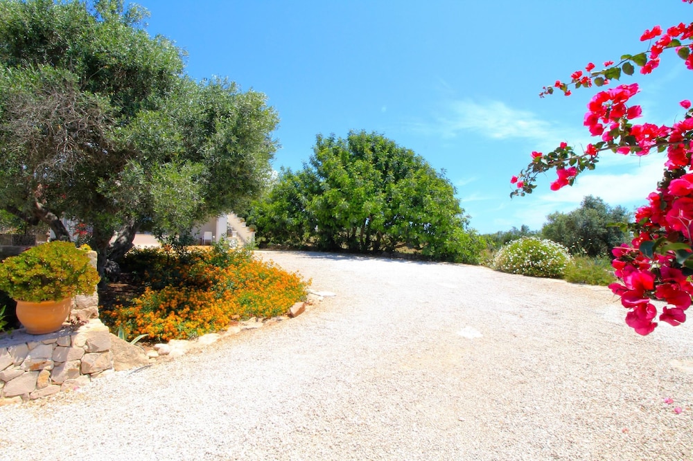 Antico Trullo Lovely House view 3
