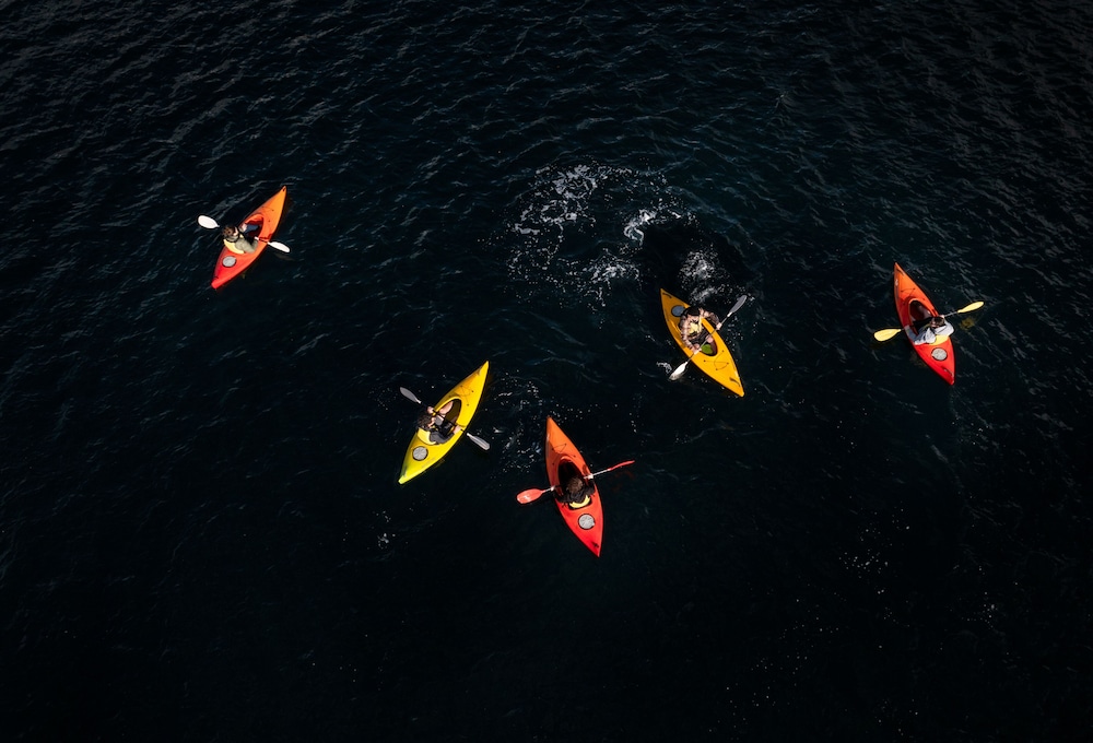 Fiordland Discovery