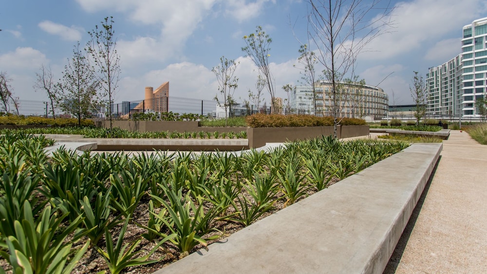 Polanco Luxury Condo
