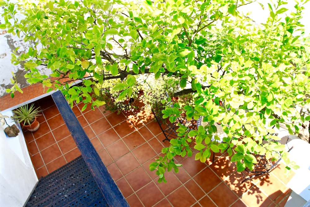 Cottage - Sleeps 4 - Pet Friendly - Patio