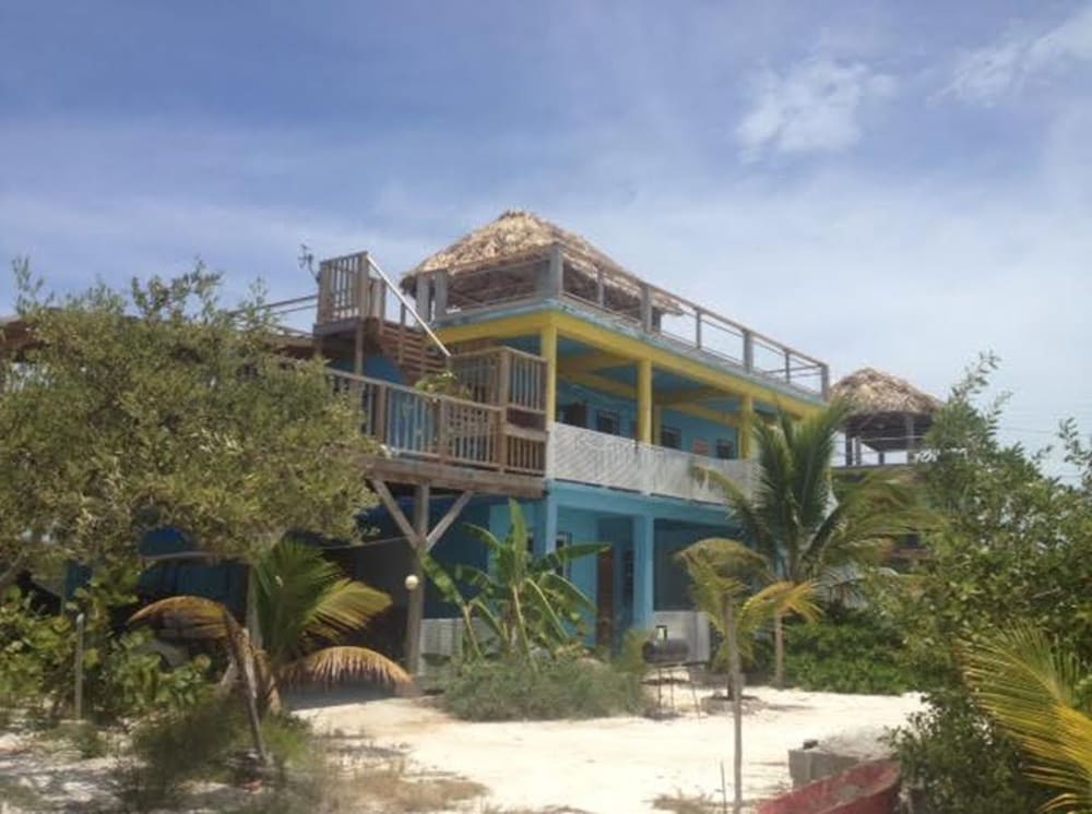 Trellis House 2