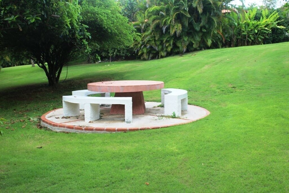 Photo 19