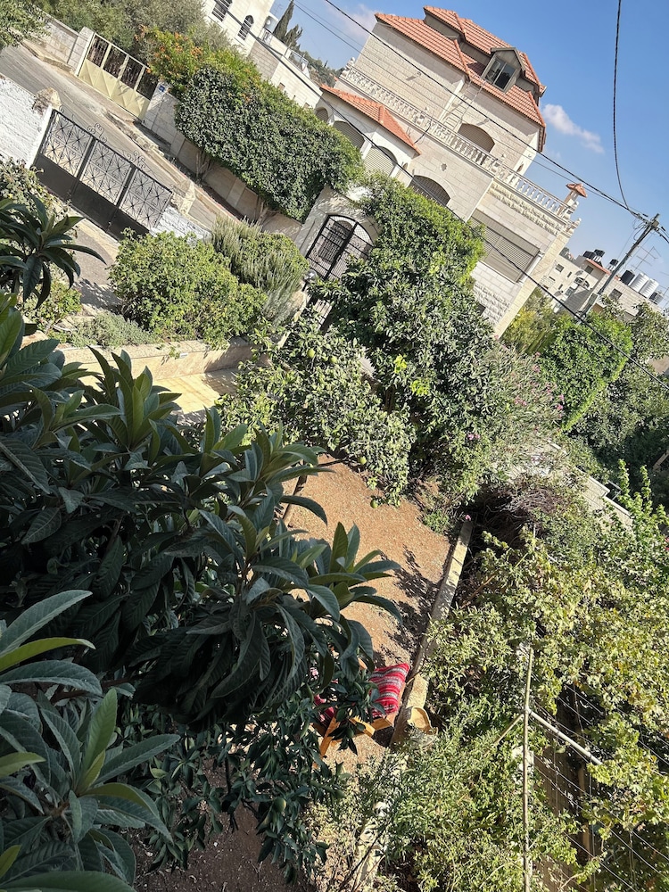 OliveTreeHostel