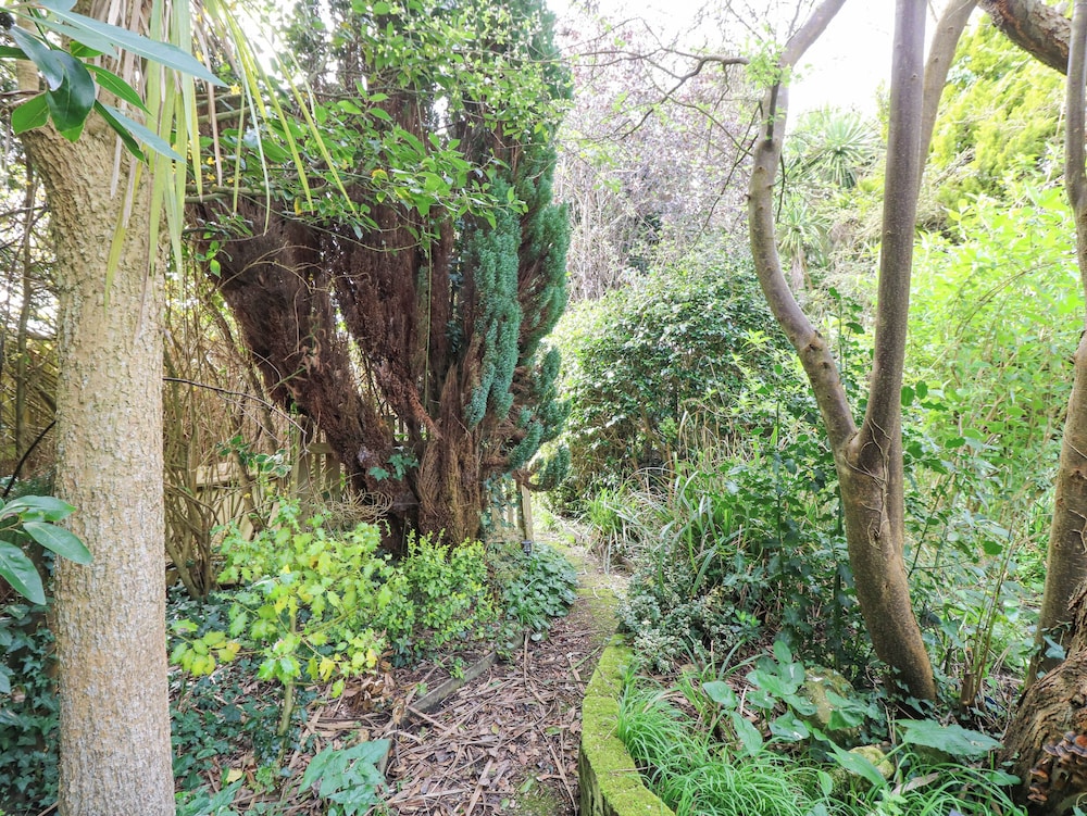 Primrose Cottage