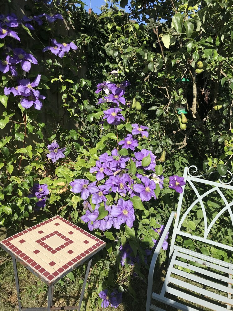 Pigeon House Cottage B&B
