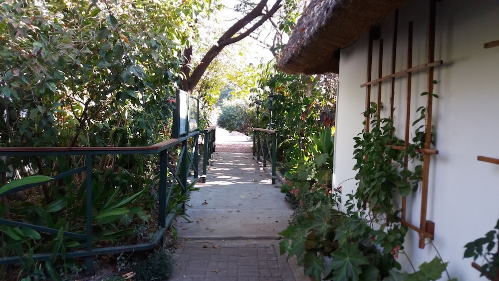 Photo 42