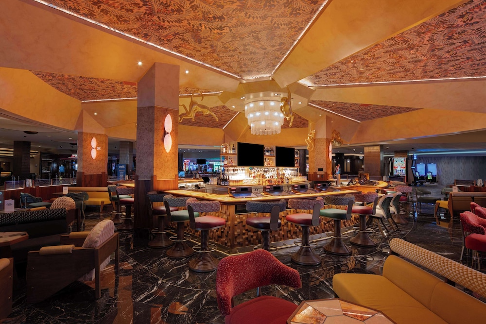 Rio Hotel & Casino, a Destination by Hyatt Hotel 4