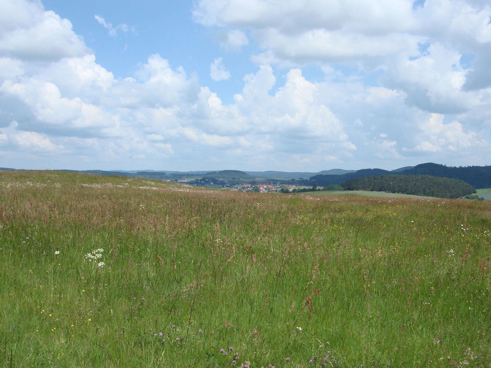 Cosy Apartment in Hallenberg Near Centre