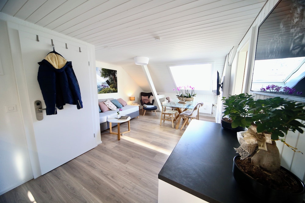 ALP APARTMENTS with self check-in