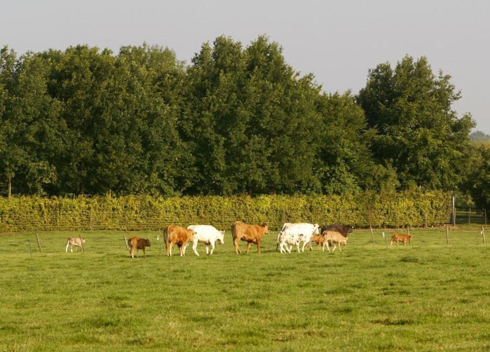 Holiday Home in Bemelen Near Nature Reserve