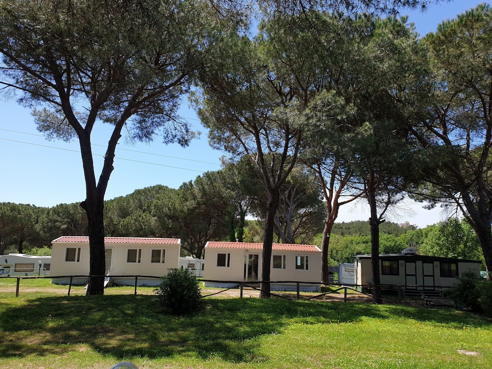 Camping Aurelia Club