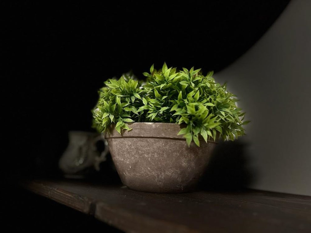Photo 19