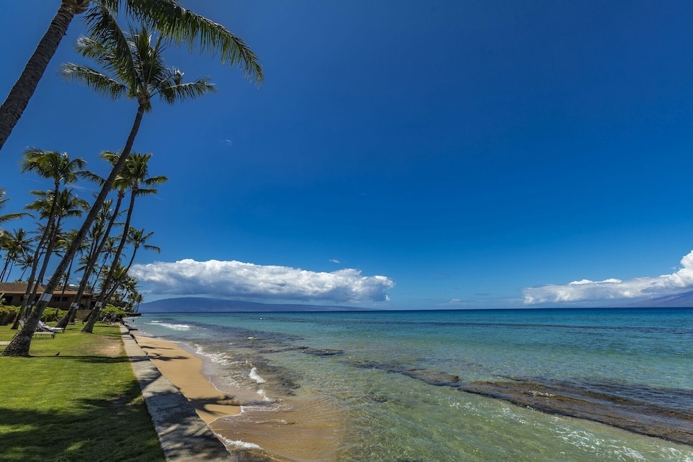 Paki Maui 103