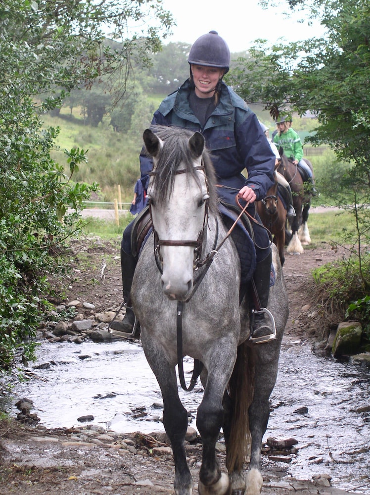 Eclipse Equestrian & Activity Centre view 5
