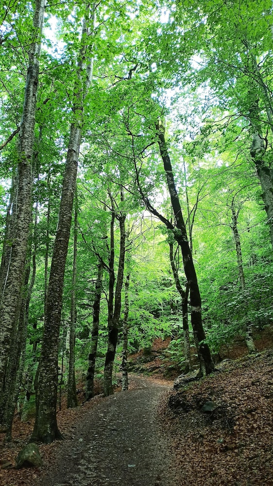 Photo 22