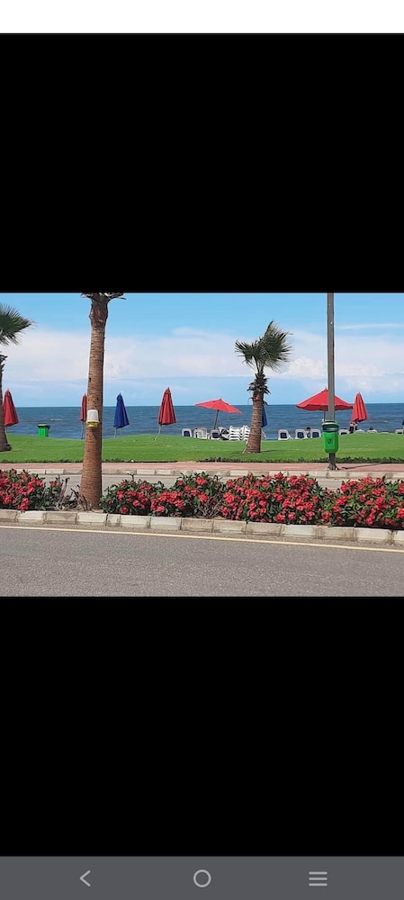 Simple Beachfront Spot