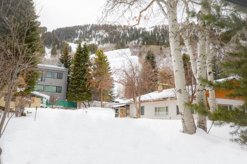 Tallamark 2 in Aspen view 2
